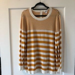 Market & Spruce Long Sleeve Light Sweater